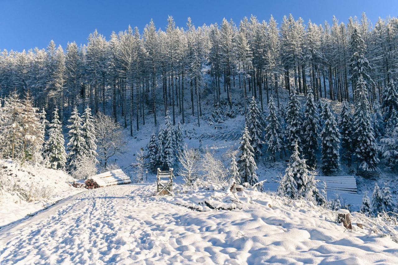 Tiny House Nature 17 - Green Tiny Village Harz Osterode am Harz Luaran gambar